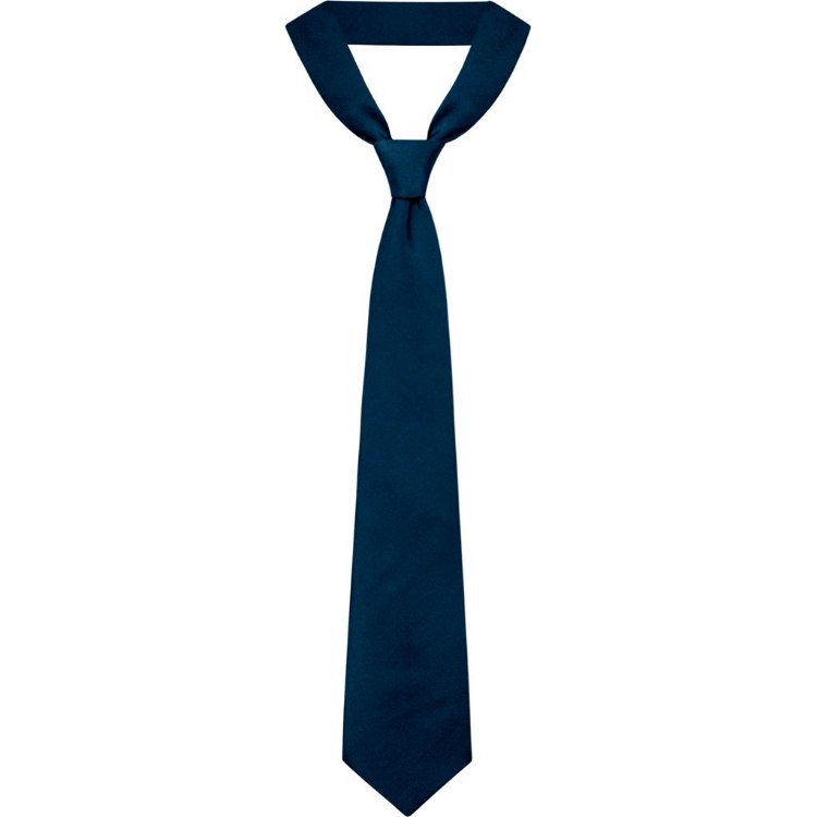 Picture of Navy Four In Hand Neck Tie