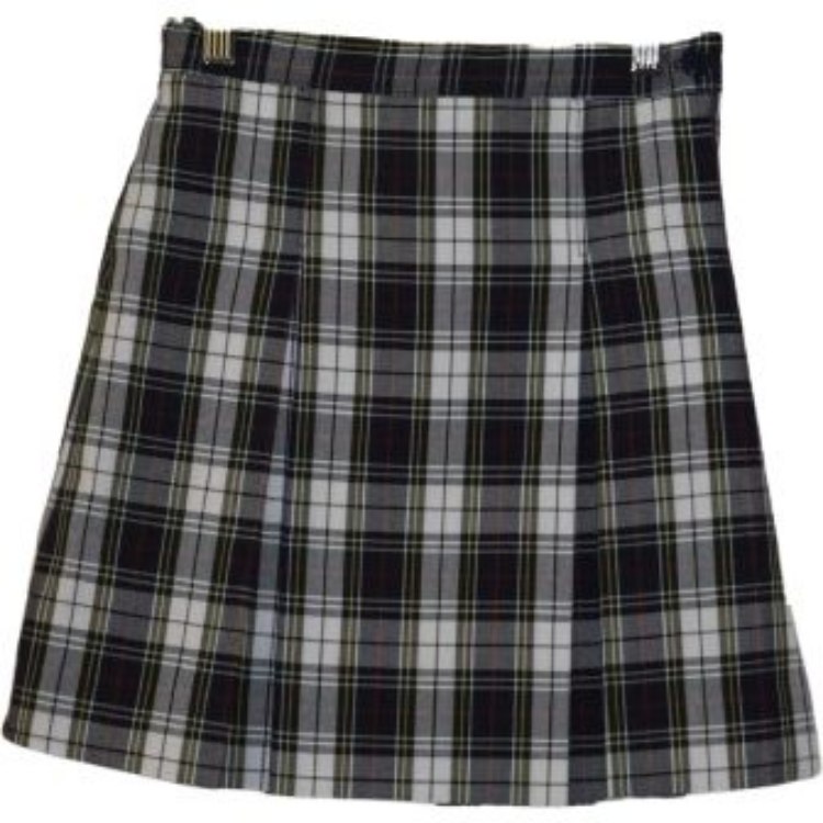 Picture of Plaid 2-Pleat Skirt